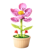 🌷 Décoration